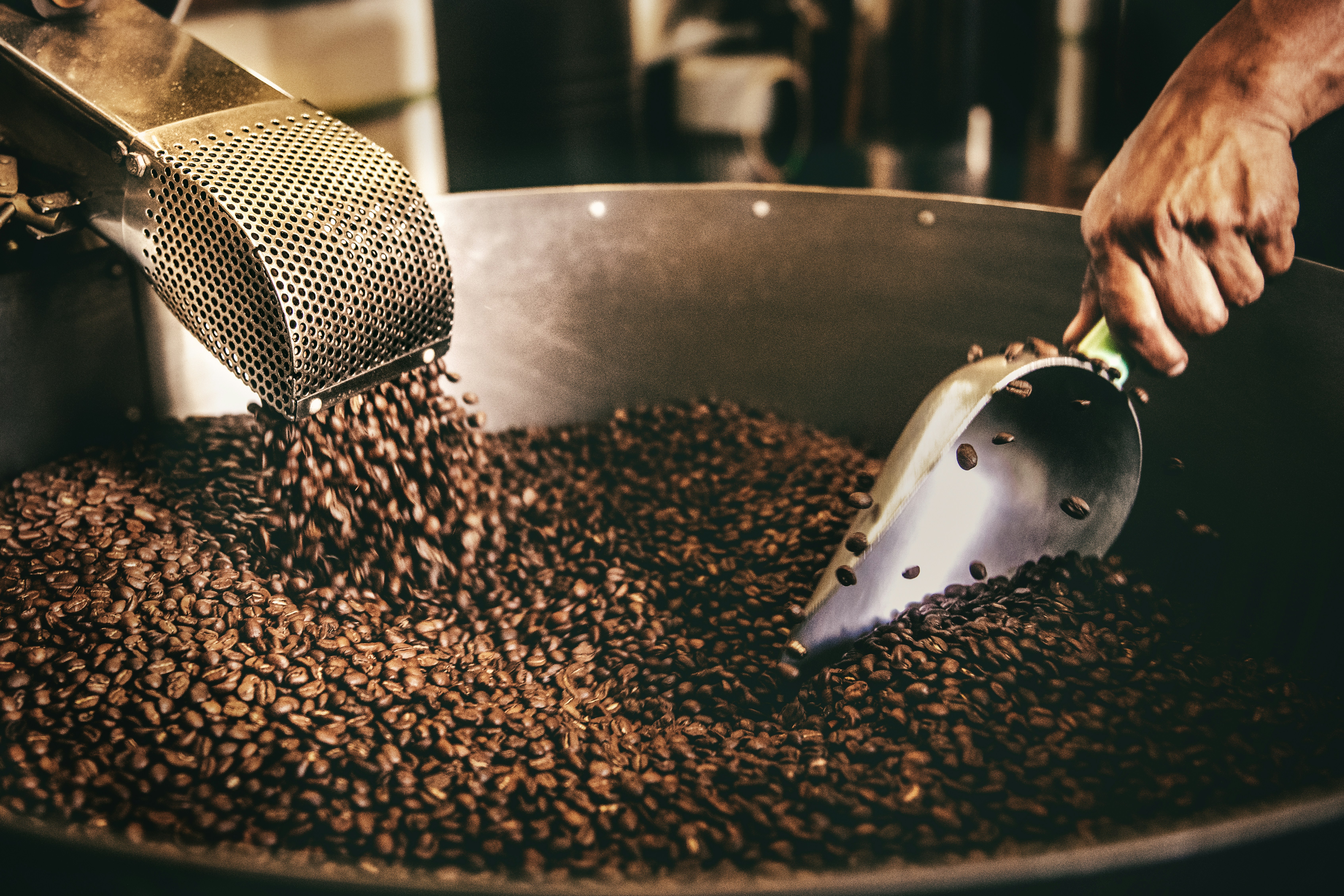 Padma Blend